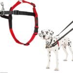 HALTI Front Control Harness - To Stop Your Dog Pulling on the Leash